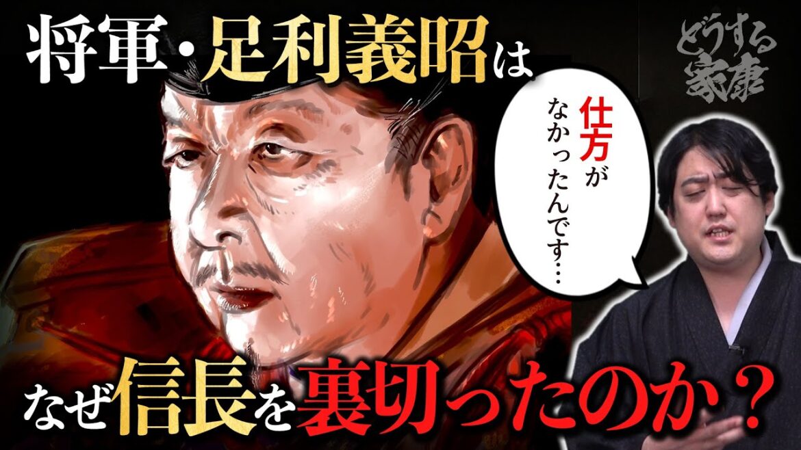やっぱり無能？足利義昭はなぜ織田信長を裏切ったのか？ #どうする家康