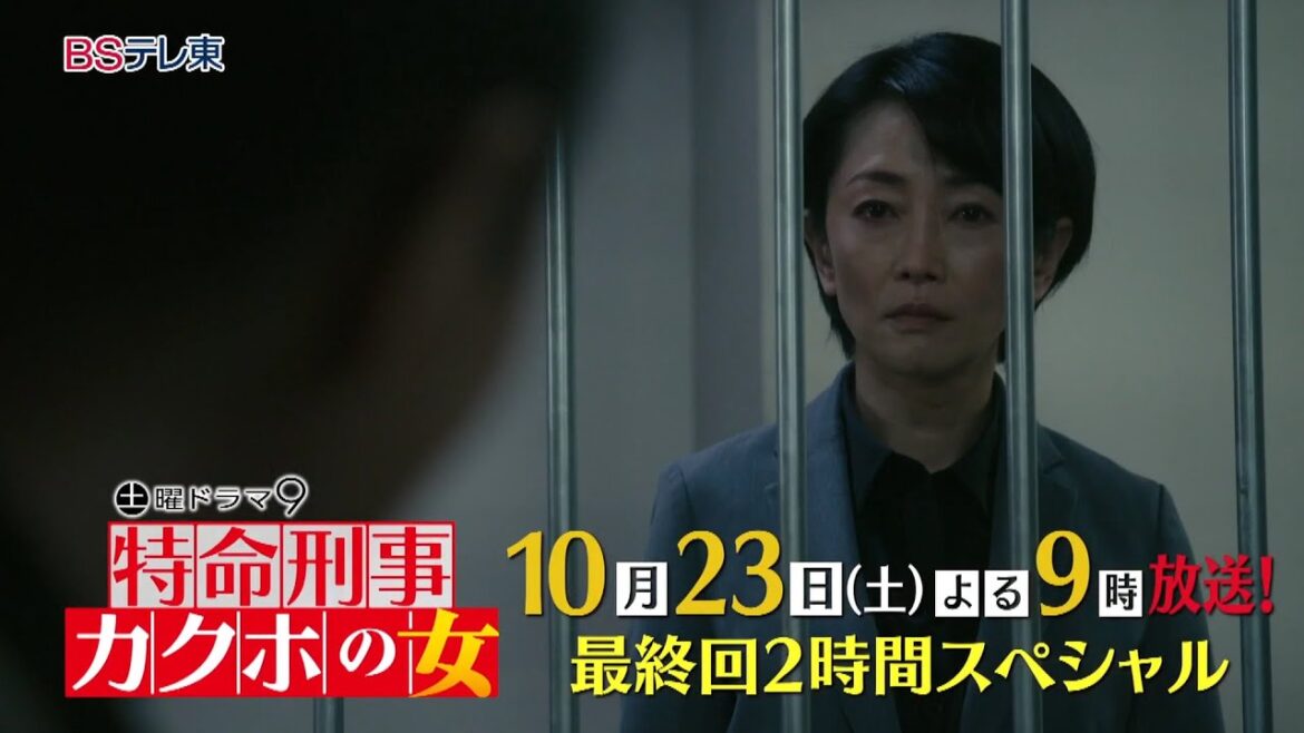土曜ドラマ９「特命刑事　カクホの女」最終回 2時間スペシャル | ＢＳテレ東
