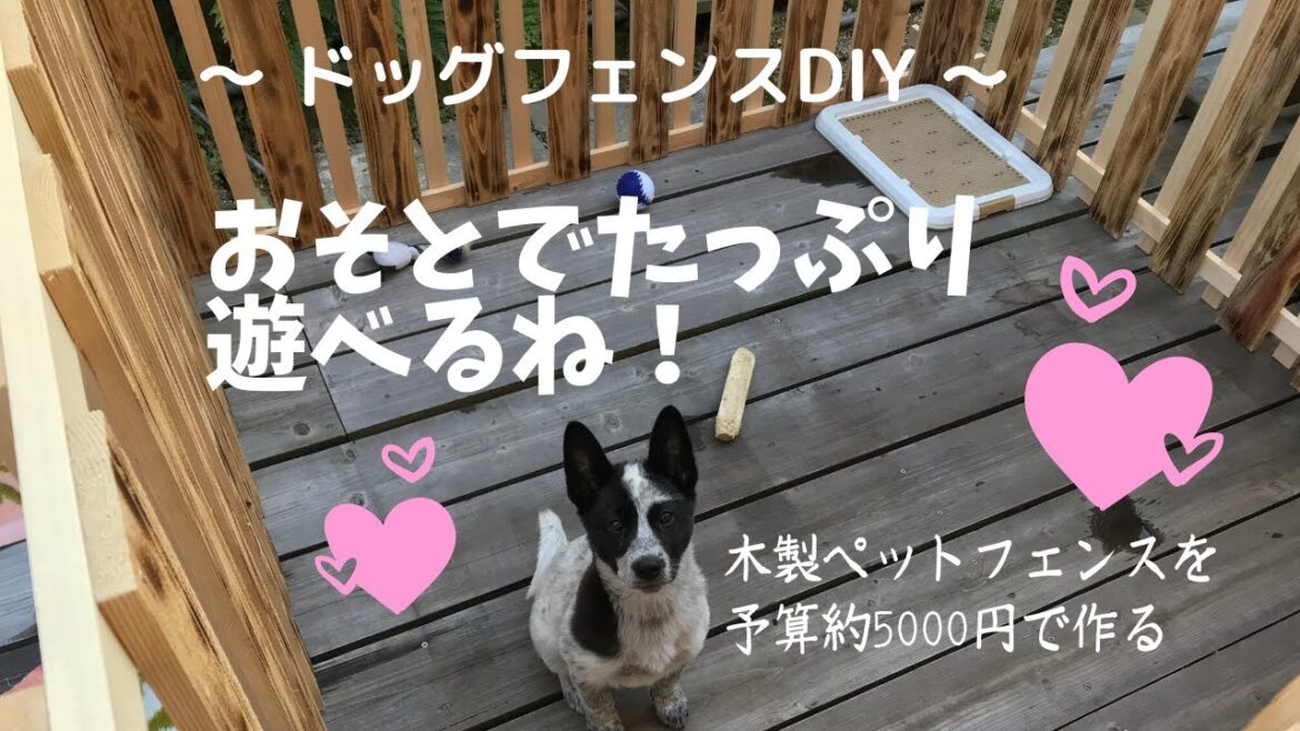 【ペットフェンスの作り方】予算5000円でひろびろドッグサークルを木材で自作