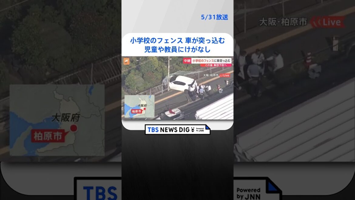 【速報】小学校のフェンスに車が突っ込んで停止 児童や教員にけがなし 生徒は集団下校の予定 大阪・柏原市|TBS NEWS DIG #shorts 【速報】小学校のフェンスに車が突っ込んで停止 児童や教員にけがなし 生徒は集団下校の予定 大阪・柏原市|TBS NEWS DIG #shorts