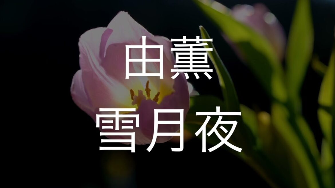 雪月夜/由薫　歌ってみた　　　　ドラマ「星降る夜に」主題歌