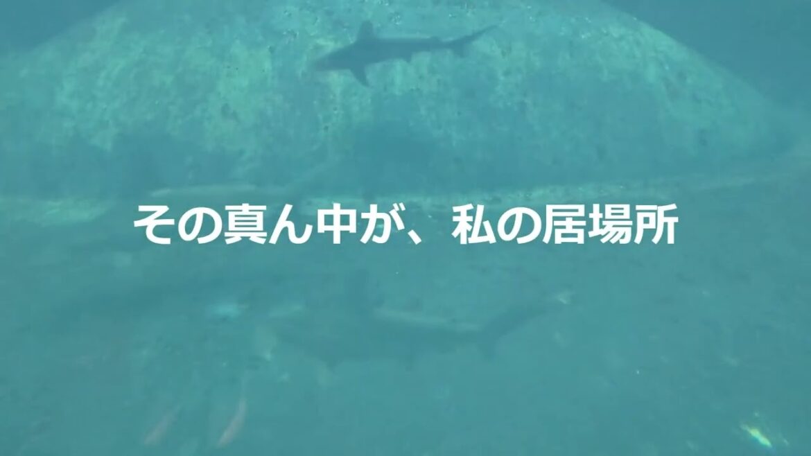 【オリジナル新曲】 ファーストペンギン