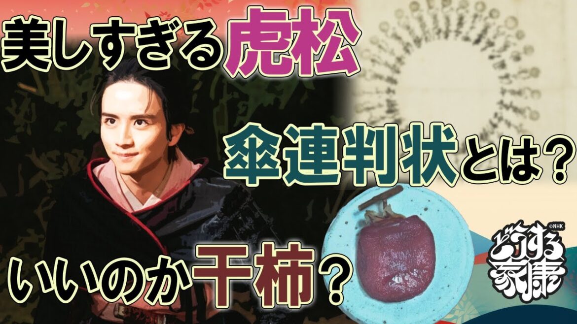 『どうする家康』第20回「岡崎クーデター」雑談
