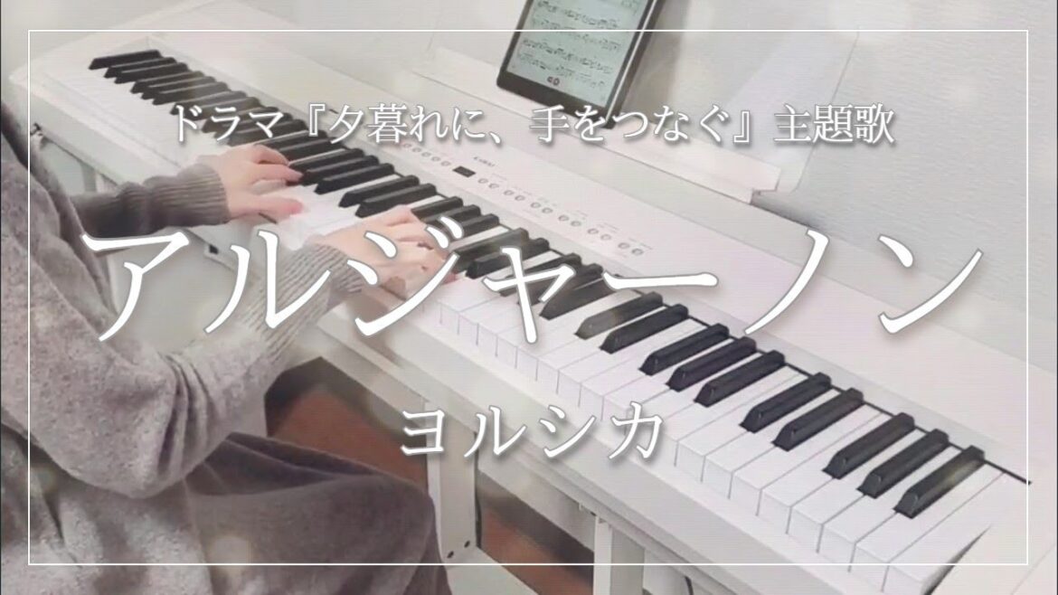 【ピアノ】アルジャーノン / ヨルシカ / ドラマ『夕暮れに、手をつなぐ』主題歌 / 弾いてみた