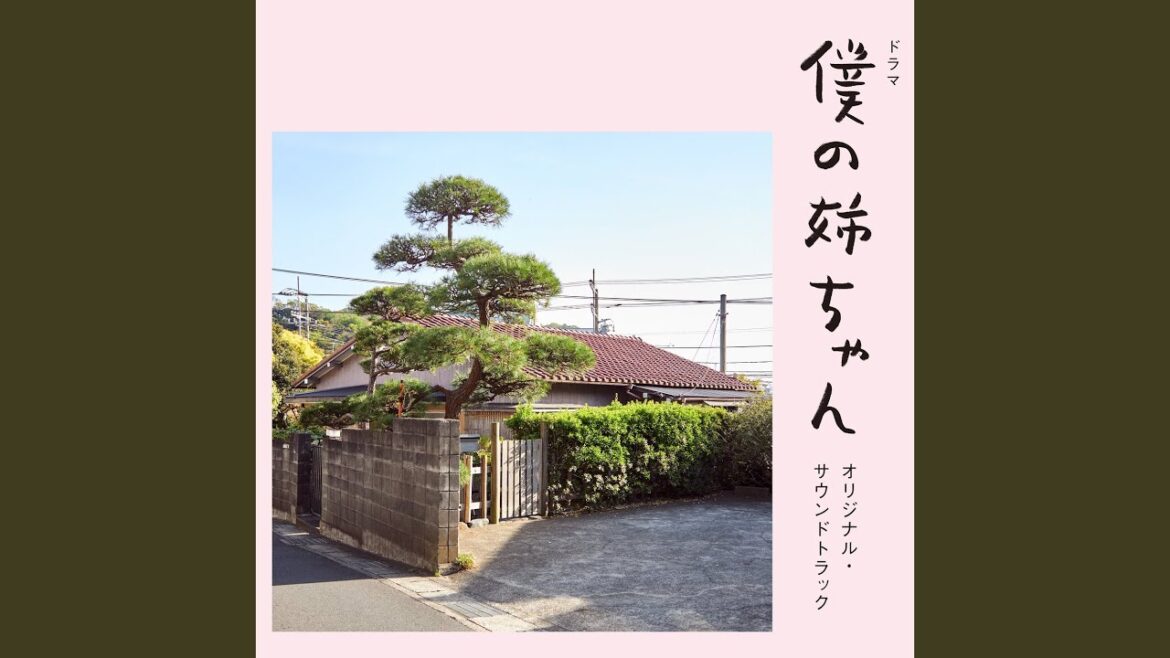 亀のテーマ