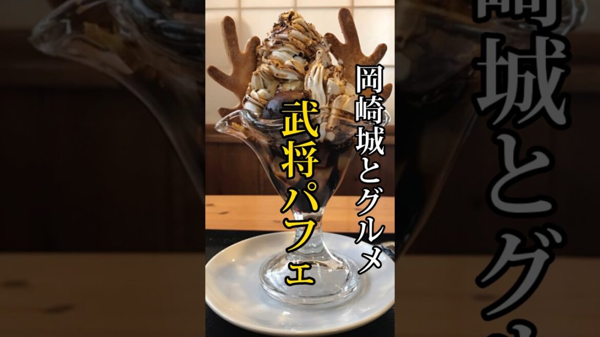 岡崎城とグルメ【いちかわ】 #どうする家康 #大河ドラマ #徳川家康  #岡崎城 #グルメ #Shorts