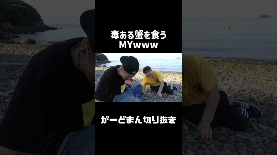 毒ある蟹を食うMYwww #shorts  #がーどまん #チャンネルがーどまん #がーどまん切り抜き
