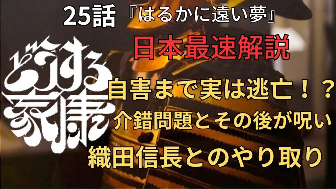 どうする家康 25話『はるかに遠い夢』最速解説！演出伏線・出来事・登場人物解説！時系列で紹介！(歴史解説)