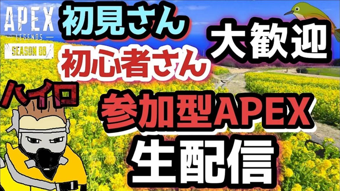 【APEX参加型】ゆるおじPEX　ラストにお絵描き　# 575