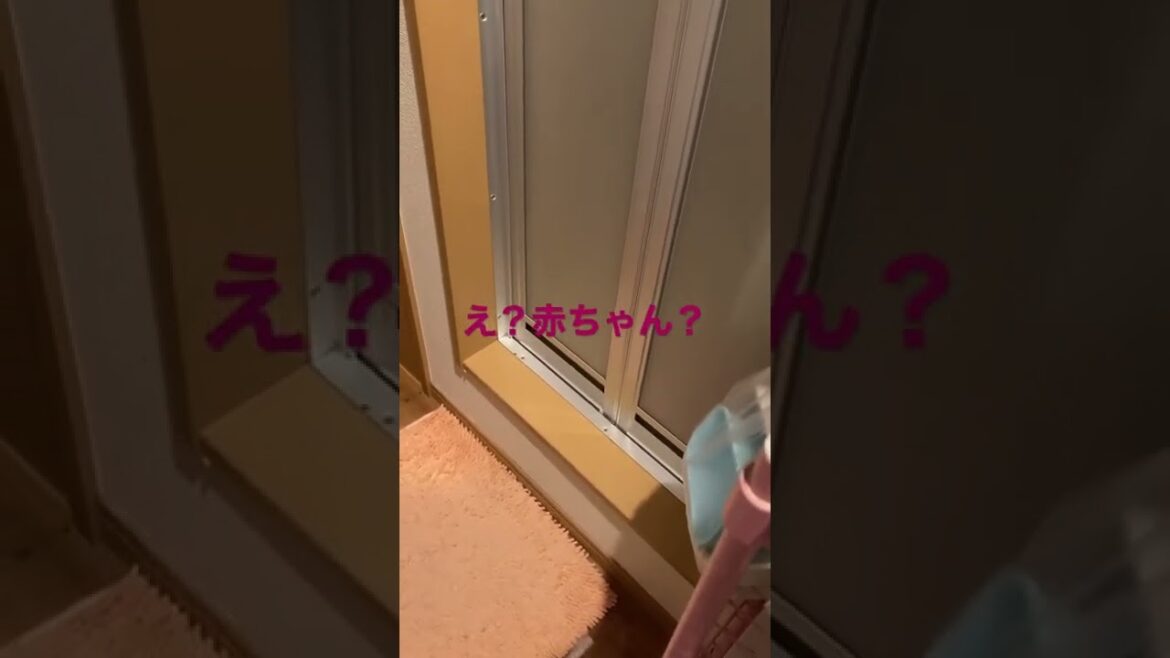 30万回再生　コラボした定助さんのチャンネルは説明欄から。産まれる‼️まさかの出産⁉️ ※閲覧注意　#shorts ＃バズった