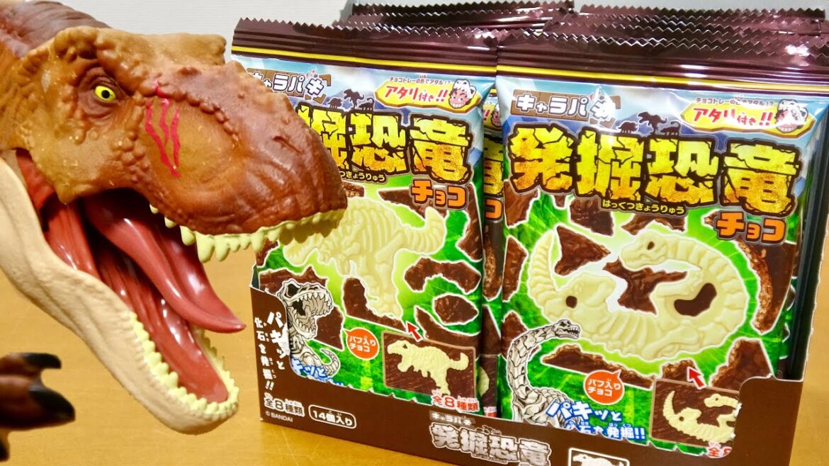 新キャラパキ 発掘恐竜チョコ 1BOX開封 大好きなモササウルスにスピノサウルスが登場 Dinosaur chocolate