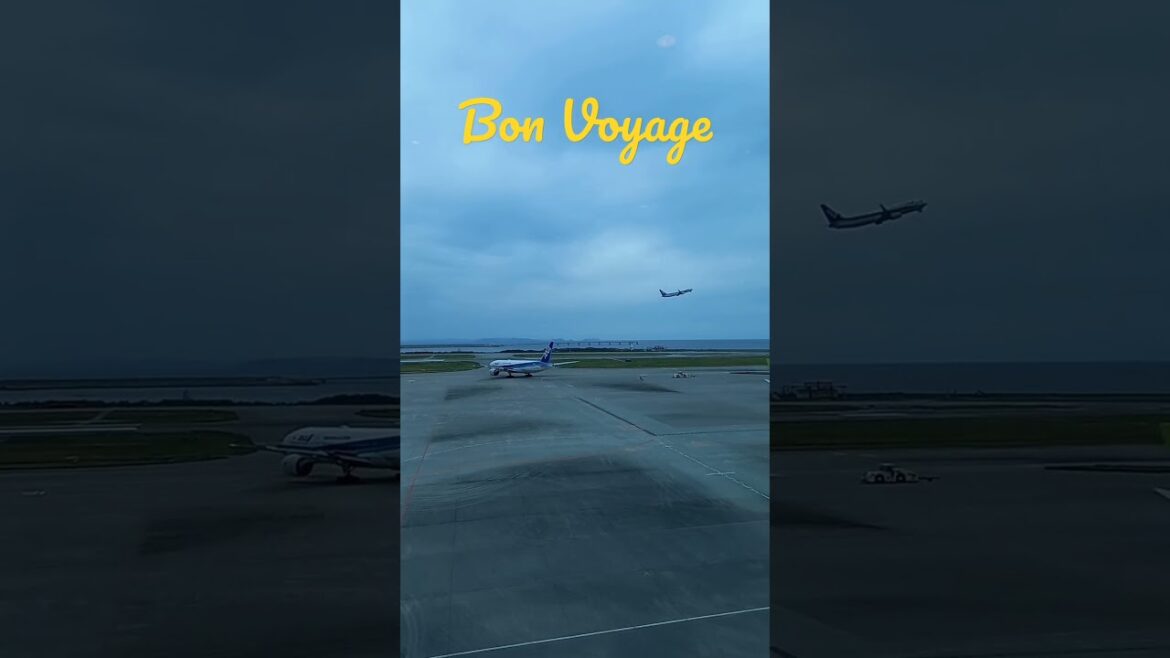 Have a nice flight ✈️