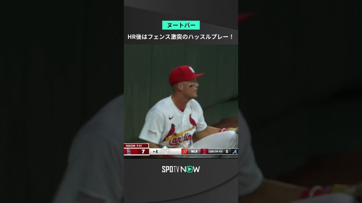 #ヌートバー フェンス激突のファインプレー！ホームランの後に守備でもハッスルを見せた #カージナルス #Cardinals #MLB #SPOTVNOW