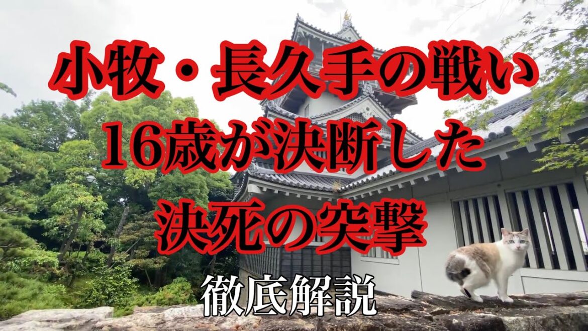 【現地映像】三英傑の2人が戦った小牧・長久手の戦いを徹底解説　#どうする家康