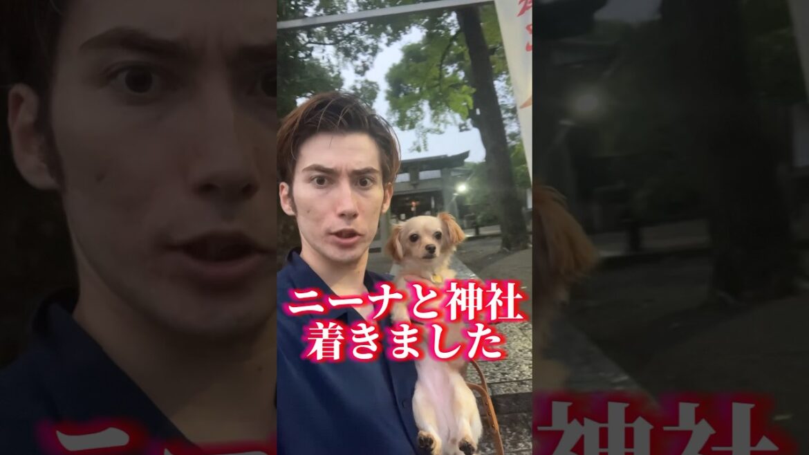 24時間あなたの息が止まってしまう動画。#shorts