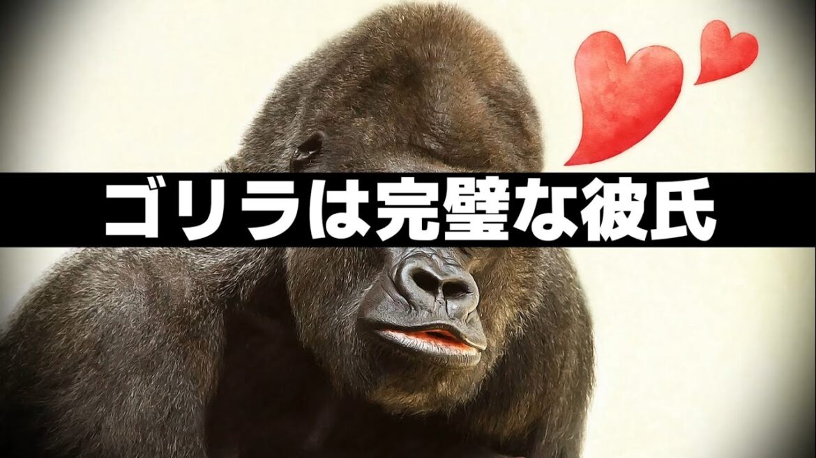 ゴリラが完璧な彼氏すぎる