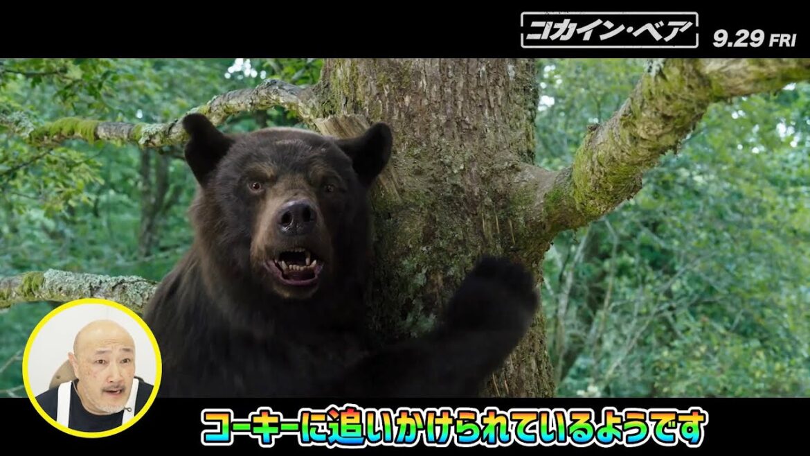 くまだまさしがコカインを食べてラリってしまったクマの映画『コカイン・ベア』をガイド!? 『コカイン・ベア』特別映像