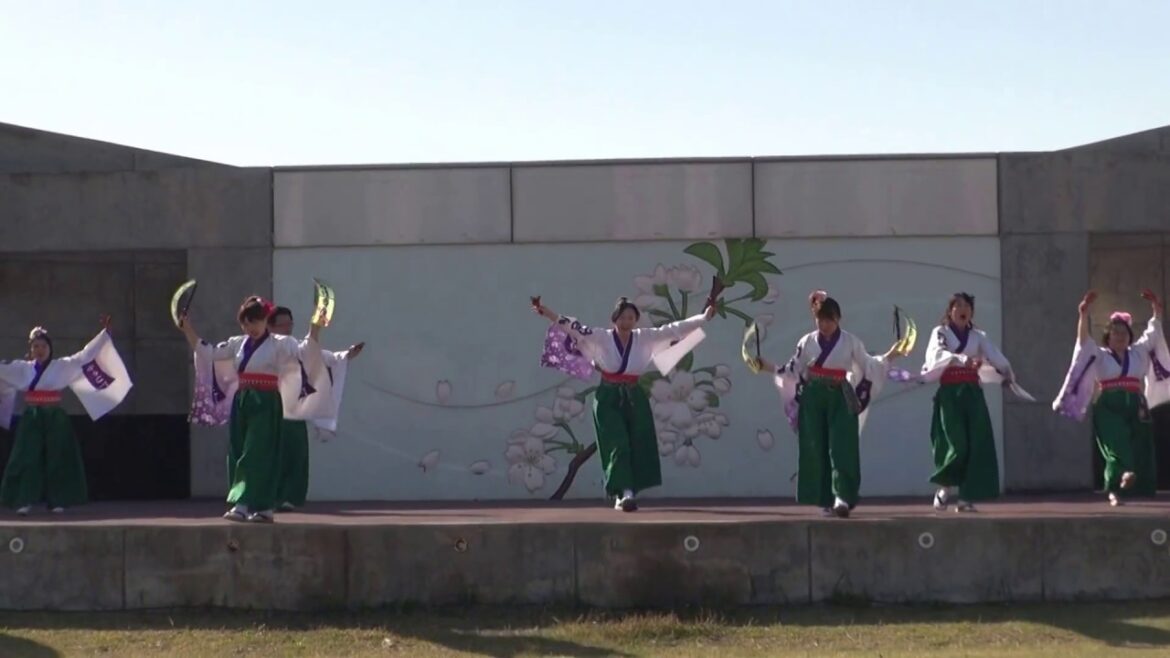 チ‐ムわげもん　国花苑sさくらまつり 1