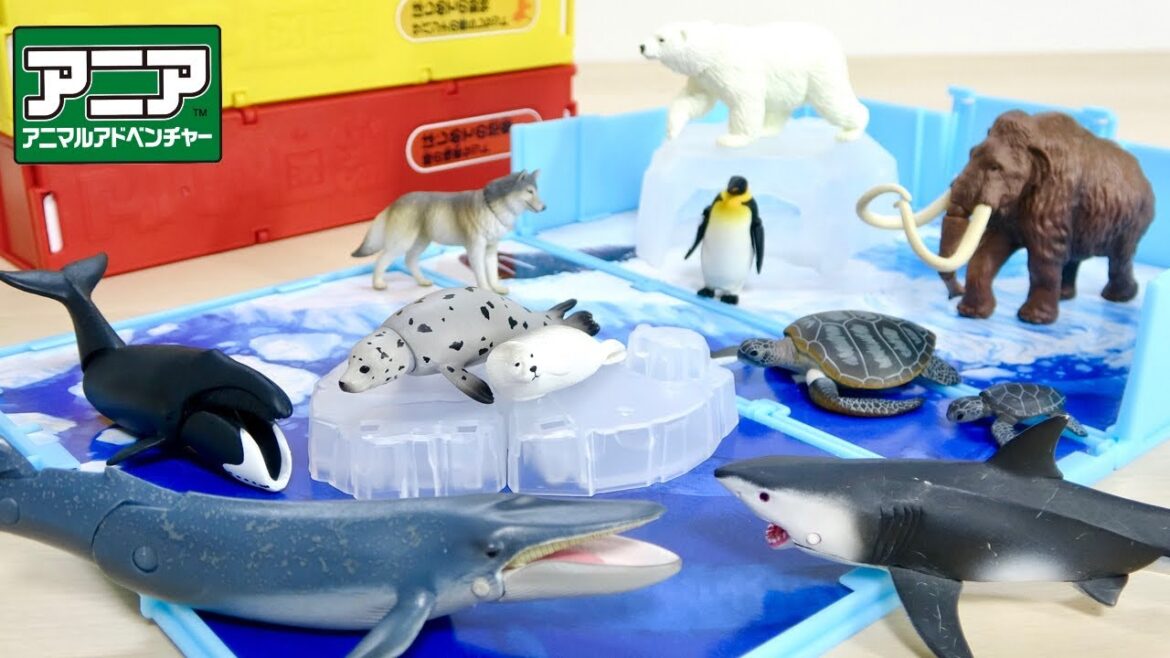 アニア 水に浮かせる事も出来るフィギュア!アニア図鑑 はじめての水生生物 北極の海の人気者セット ホッキョクグマ, アゴヒゲアザラシ, ホッキョククジラ