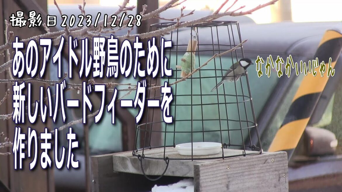 あの北海道で人気のアイドル野鳥のために、新しいバードフィーダーを作りました。シジュウカラ・ゴジュウカラ・スズメ・ヒヨドリ【シニアのお庭野鳥観察】