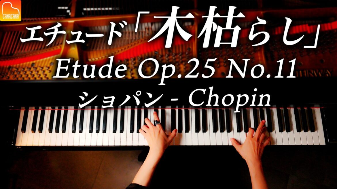 【感謝！150万人】ショパン「木枯らし」エチュード -  Chopin - Etude Op.25 No.11 “Winter Wind” CANACANA