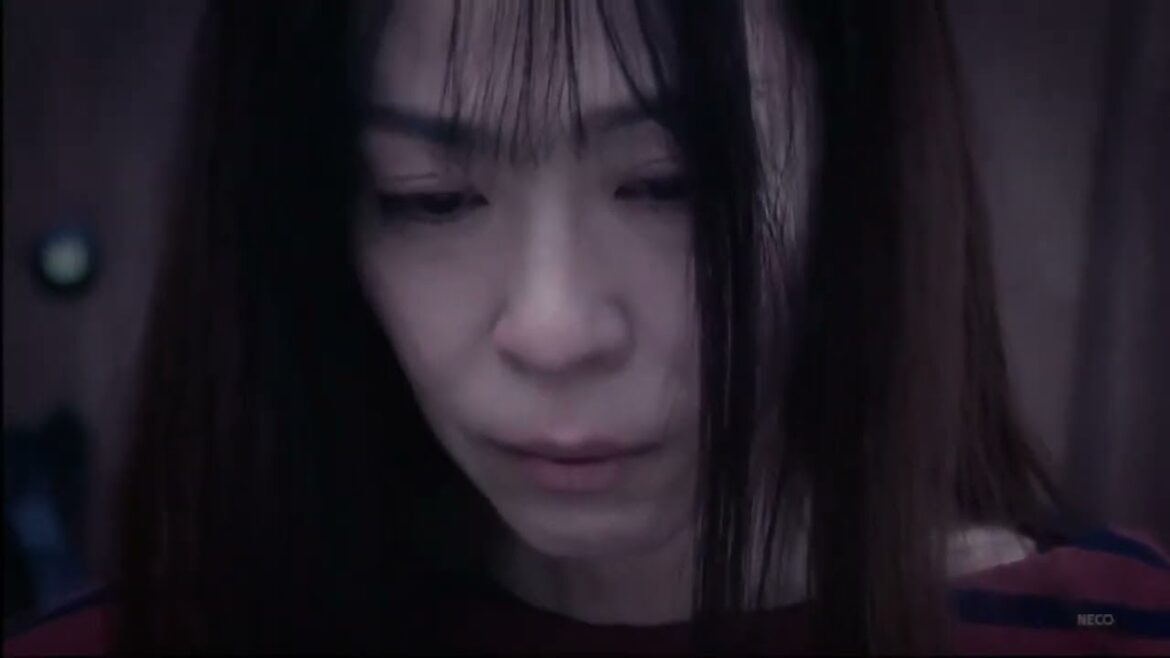 機捜235×強行犯係樋口頭#3【中村梅雀 内藤剛志出演】