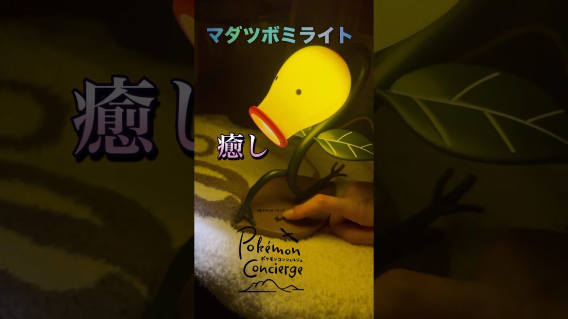 マダツボミライトが癒される。ポケモンコンシェルジュのグッズはポケモンセンター限定です。　#shorts  #ポケモン　#pokémon