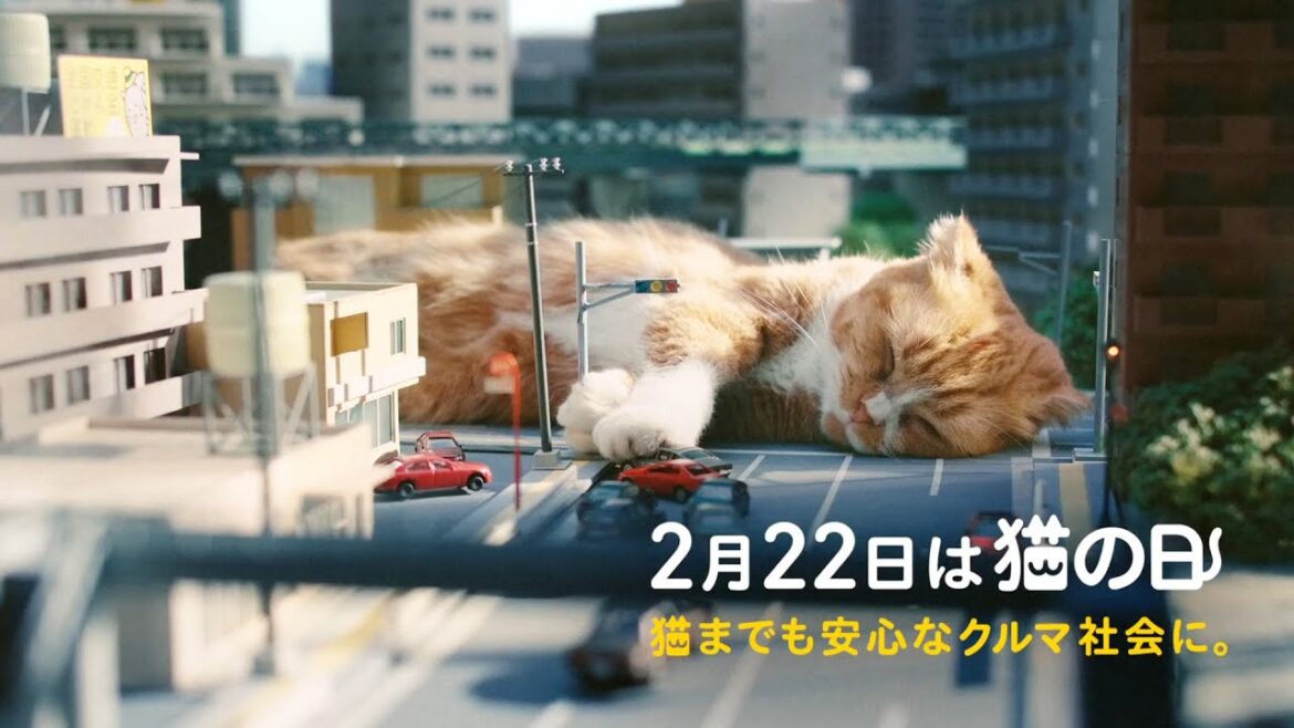 猫、神出鬼没。急な飛び出しによる交通事故から猫を守ろう！ イエローハット全国交通にゃん全運動CM