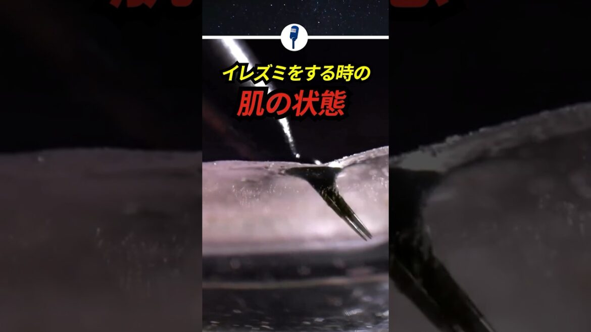 イレズミをする時の皮膚の状態