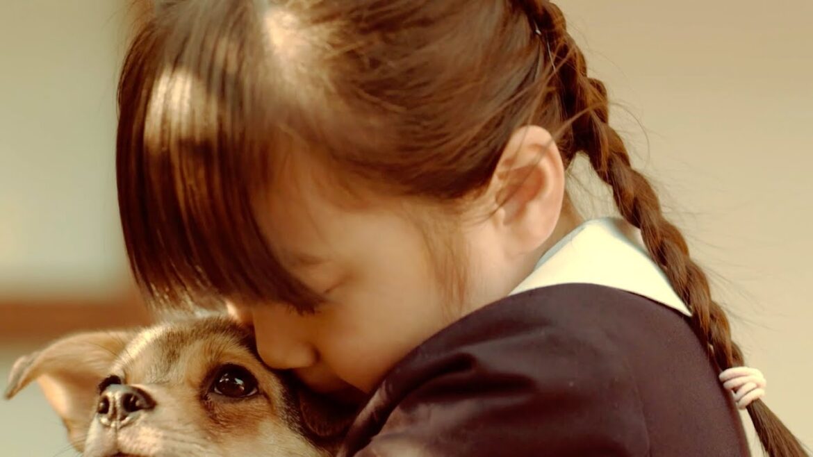 「ばからもん」寺田藍月、保護犬タローの飼い主に／映画『石岡タロー』予告編
