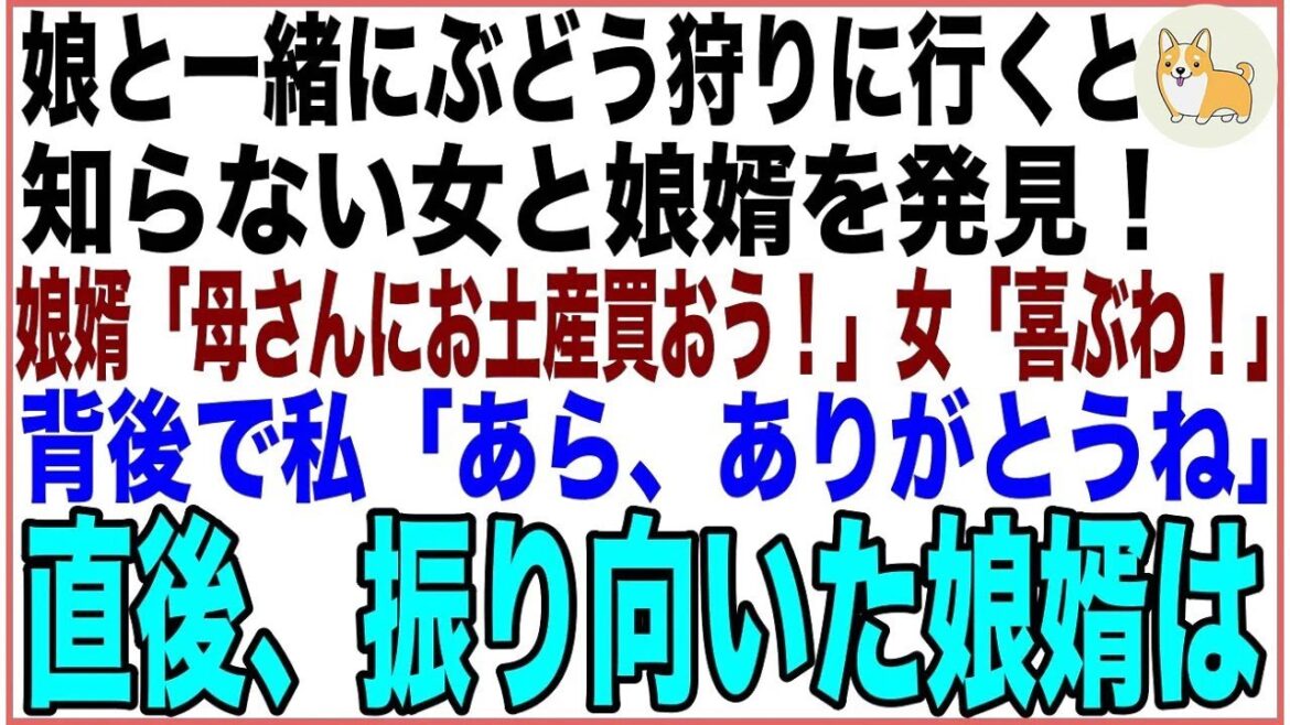 【スカッと】娘が帰省したので一緒にぶどう狩りに行くと、知らない女と娘婿を発見！娘婿「母さんにお土産買おう！」女「そうね、喜ぶわ！」→背後で私「あら、ありがとうね」直後、振り向いた