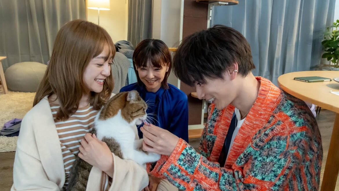 安達祐実×倉科カナ×渡邊圭祐、ネコ好き男女3人の共同生活／映画『三日月とネコ』予告編