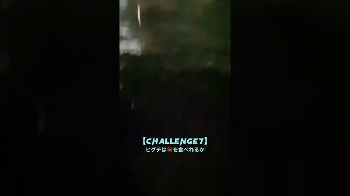 ついにあれが釣れる…🎣 ついにあれが釣れる...🎣