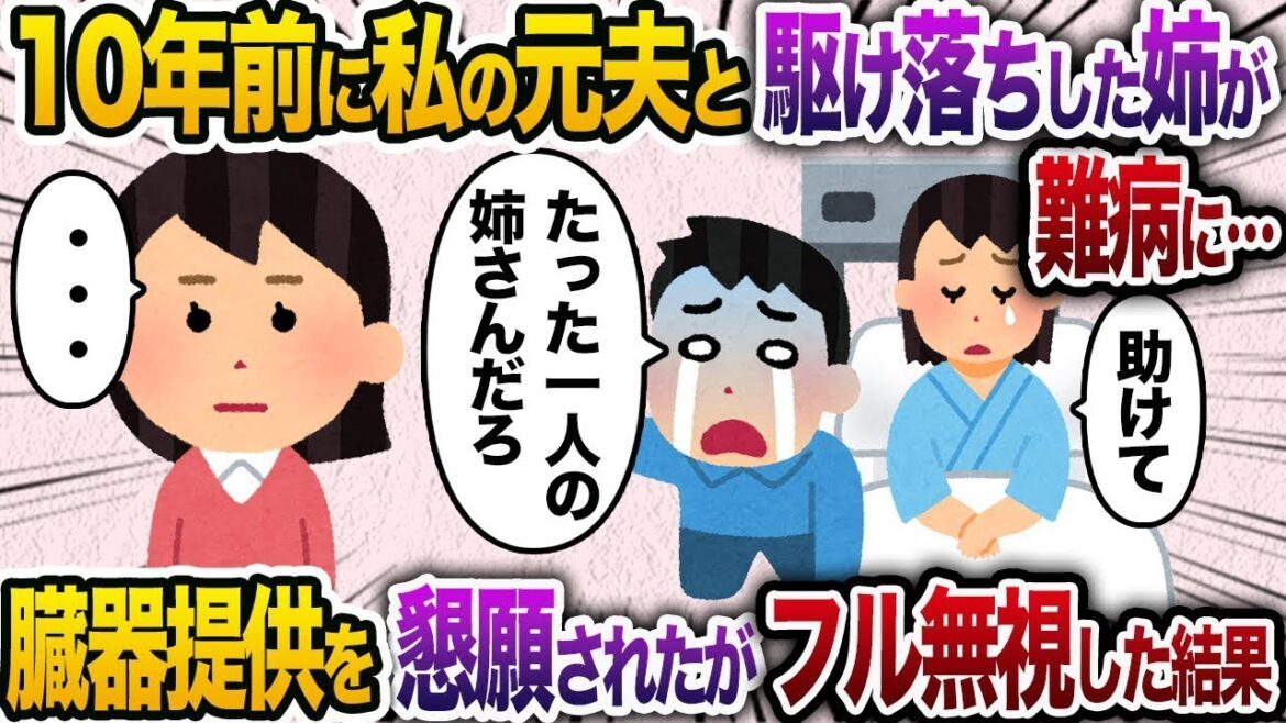 【2chスカッと人気動画まとめ】新婚旅行当日に私を捨てて姉と駆け落ちした元夫が10年後に突然の連絡「姉のドナーになってくれ！」→家族全員に懇願されたがフル無視した結果…【作業用】【睡眠用】
