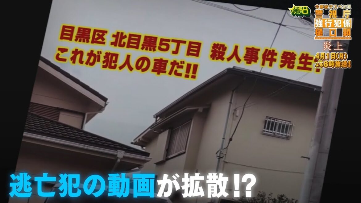 月曜プレミア8「今野敏サスペンス　警視庁強行犯係 樋口顕 －炎上－」4月1日（月）夜8時放送 | テレビ東京