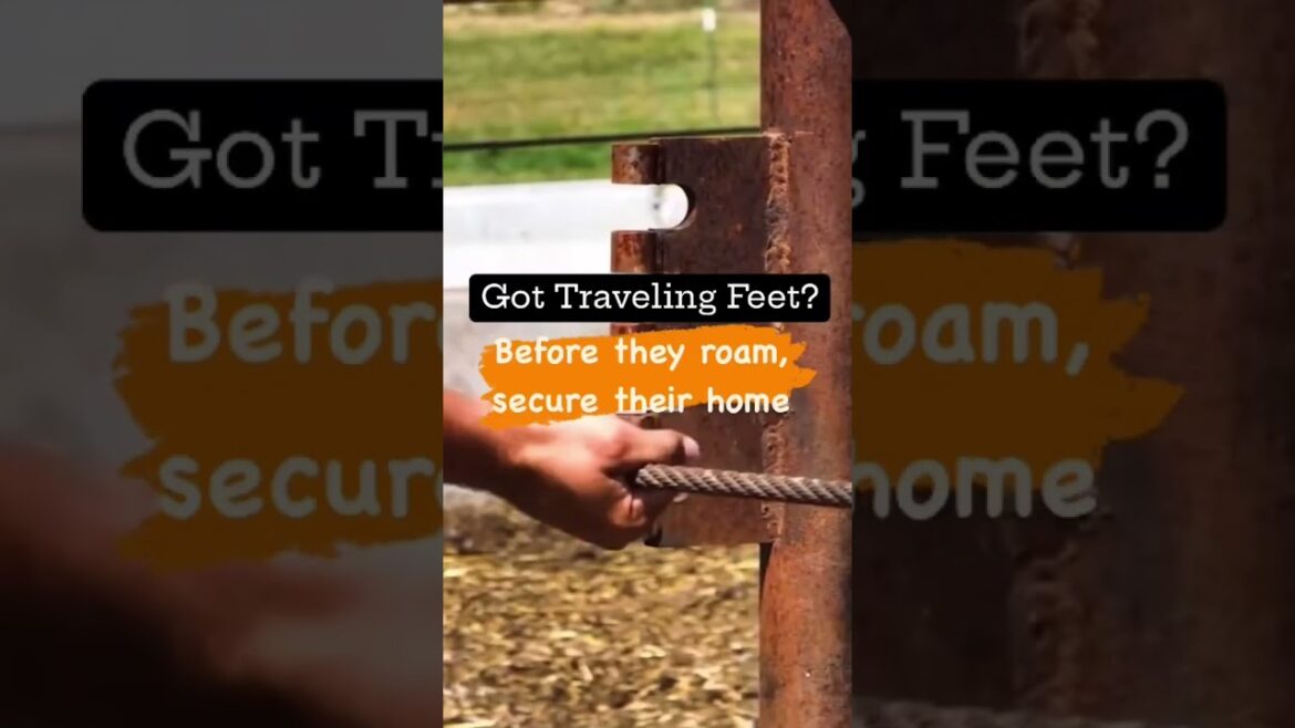 Got traveling feet?