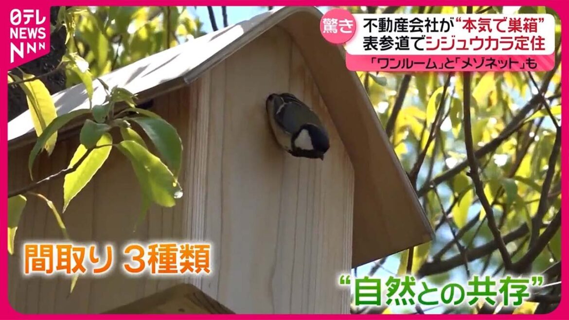【不動産会社が本気で作った巣箱に】渋谷・表参道にシジュウカラ定住