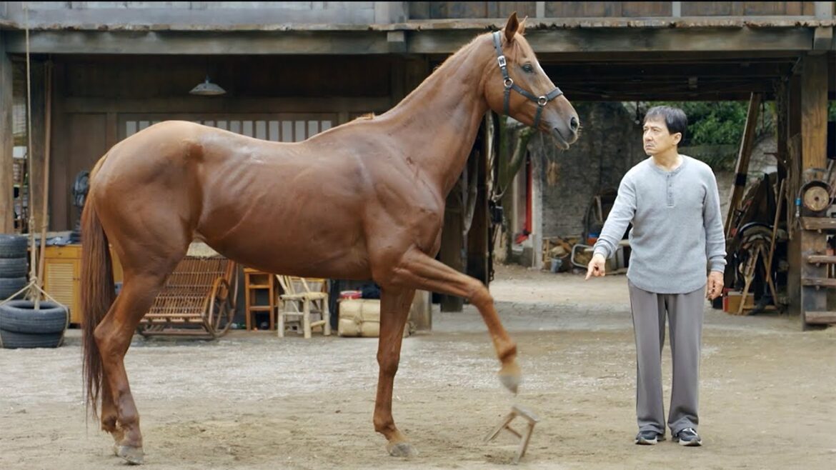 ジャッキー・チェン70歳。今度の相棒は馬!/映画『ライド・オン』本編映像+予告編 ジャッキー・チェン70歳。今度の相棒は馬!/映画『ライド・オン』本編映像+予告編
