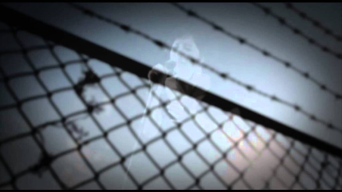 フェンス【PV】/ indigo blue