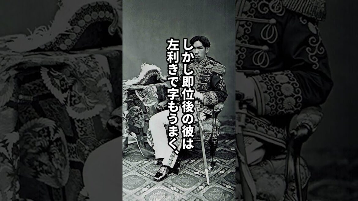 最大の謎にして最大の禁忌？！明治天皇すり替え説 #日本史 #歴史解説 #shorts