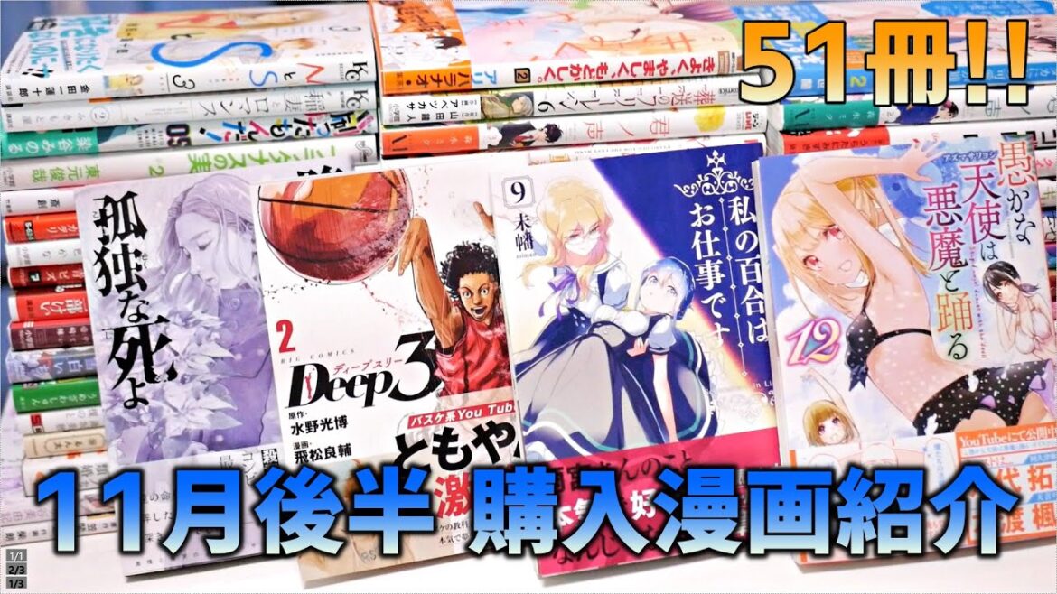 【51冊！】2021年11月後半に購入した漫画紹介！
