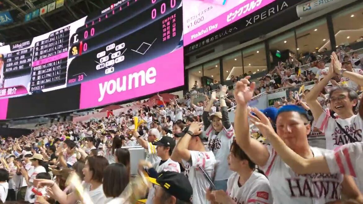 20240517 近藤健介のフェンス直撃から中村晃のヒットで現場は最高潮⚾みずほPayPayﾄﾞｰﾑ福岡