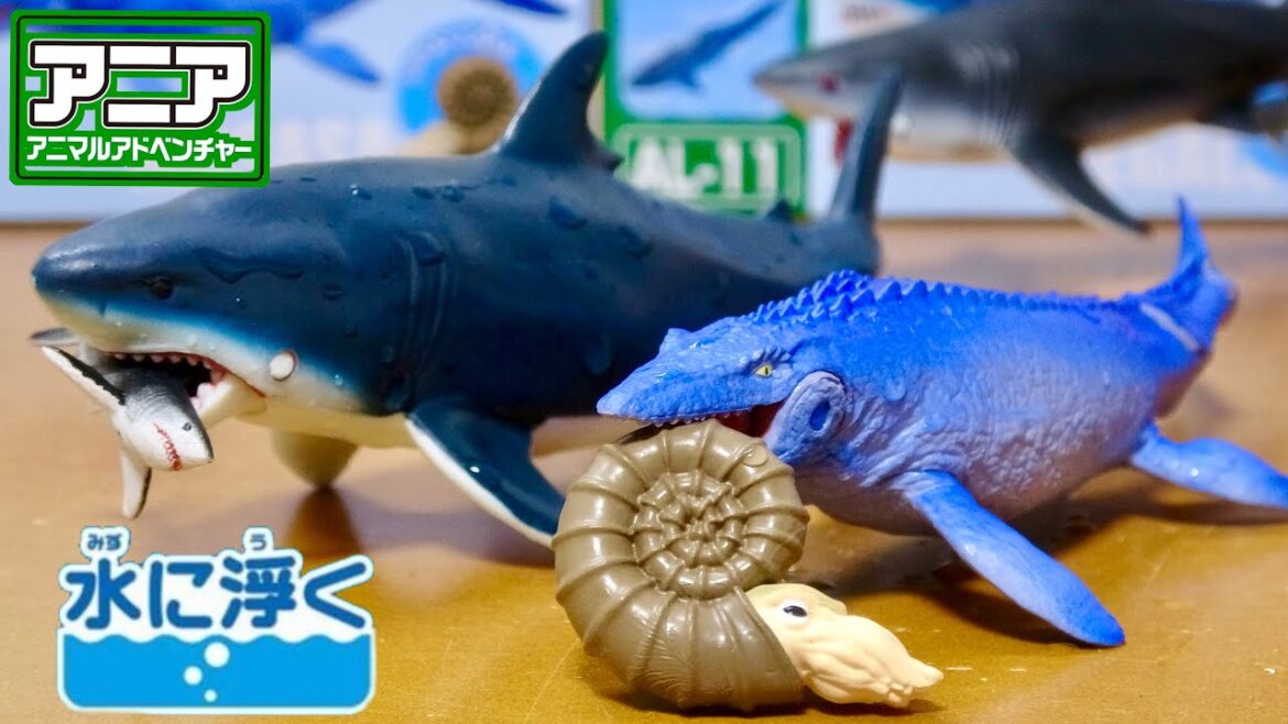 迫力のサイズ水に浮くアニア発売!AL-07 モササウルス（アンモナイト付き） AL-11 メガロドン（ホホジロザメ付き）
