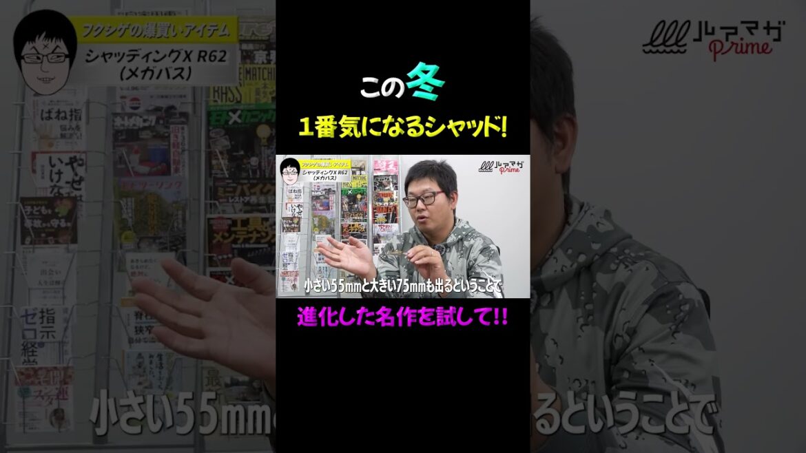 【シャッドの決定版!!】ブラッシュアップした名作シャッドを編集部員がご紹介！