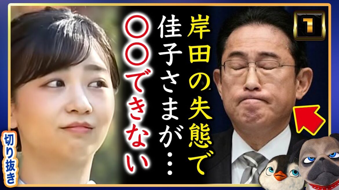 【悲報】A宮プラン失敗。K子さまが岸田の大失態でご結婚できない。【切り抜き】