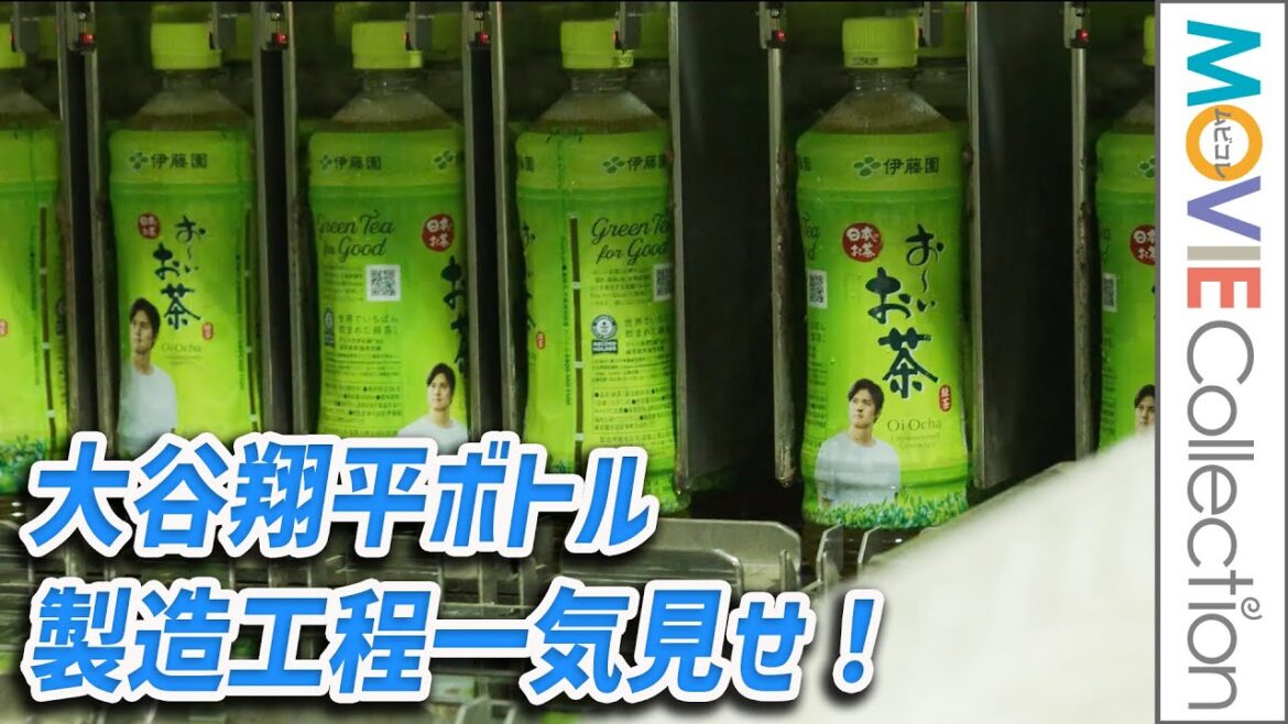 お～いお茶「大谷翔平ボトル」限定販売！製造工程一気見せ。社会貢献プロジェクトも始動