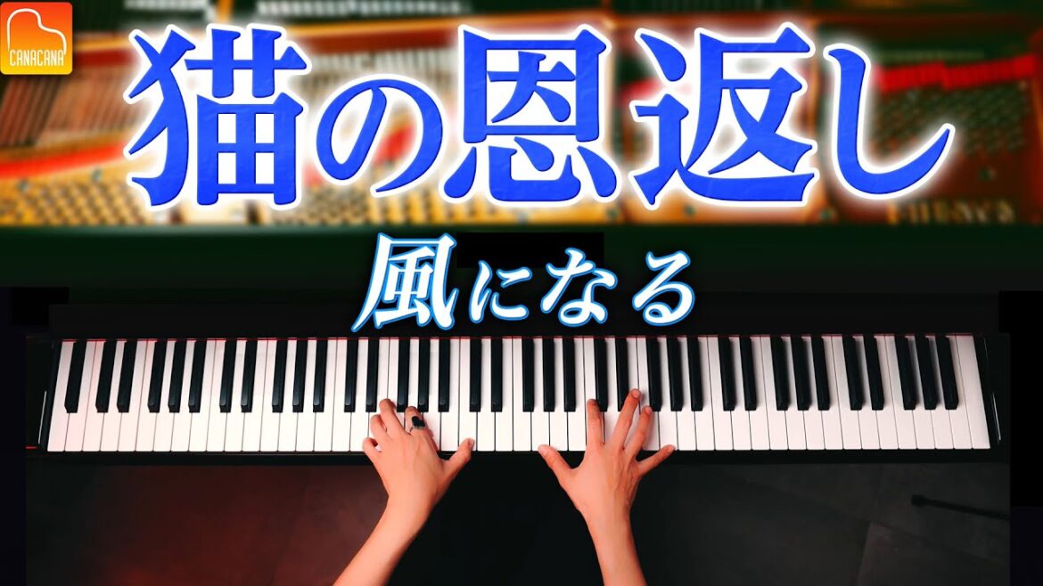 風になる - 猫の恩返し【ジブリ楽譜集発売記念】 つじあやの - ピアノ - CANACANA