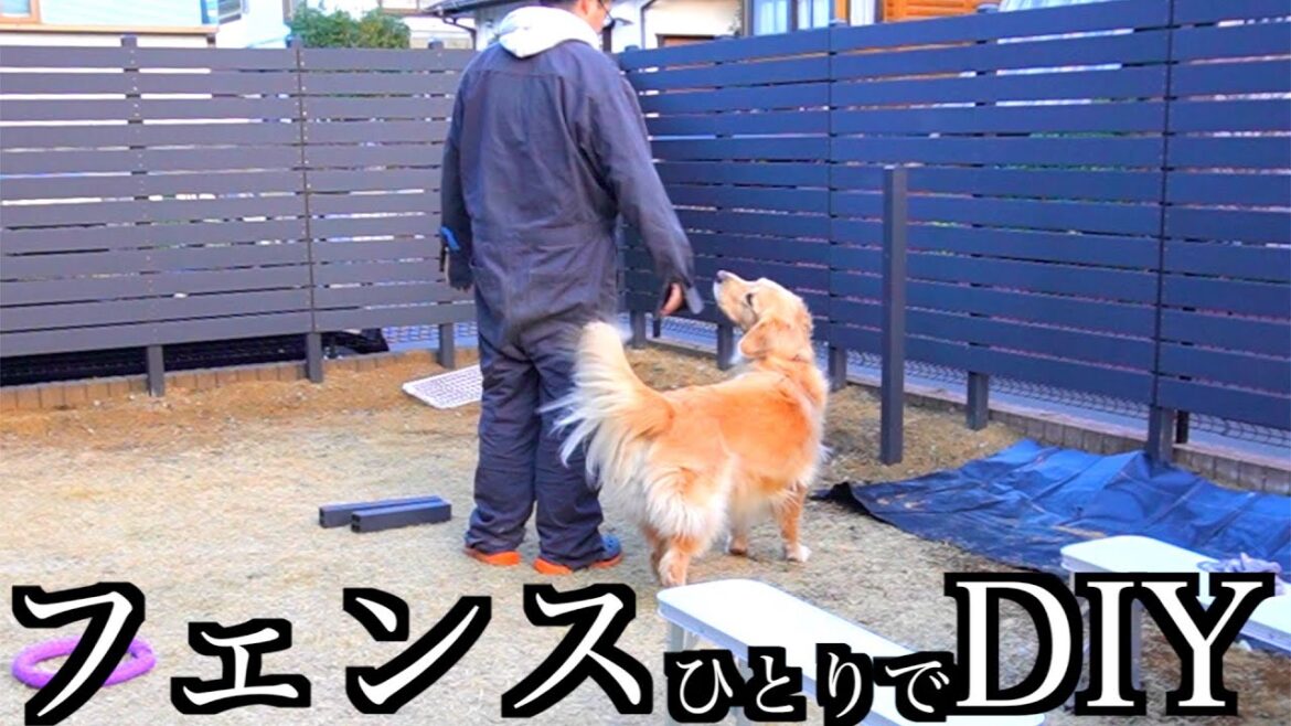 【庭DIY】お金ないから目隠しフェンスを1人で建てたら半額で済んだ 【庭DIY】お金ないから目隠しフェンスを1人で建てたら半額で済んだ