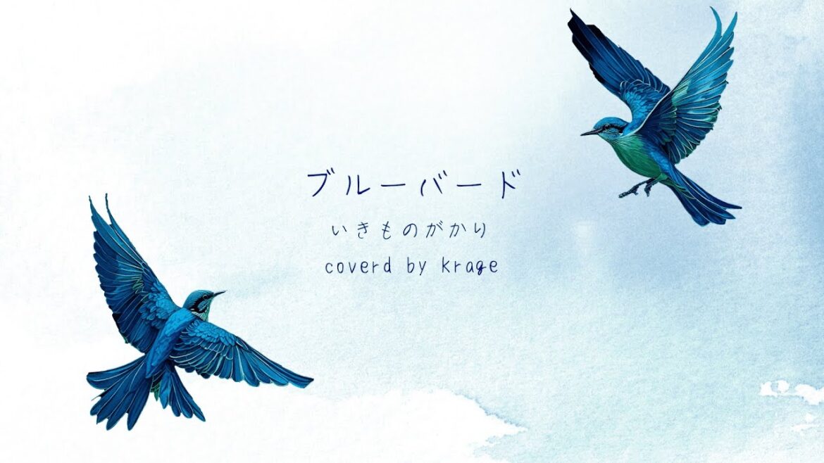 いきものがかり - 「ブルーバード」  (Covered by krage)