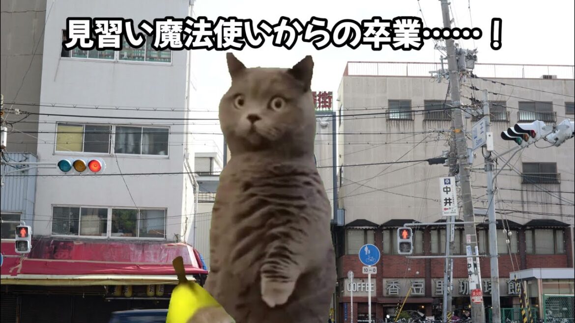 【猫ミーム】日本最後の遊郭で卒業を試みる話【前編】